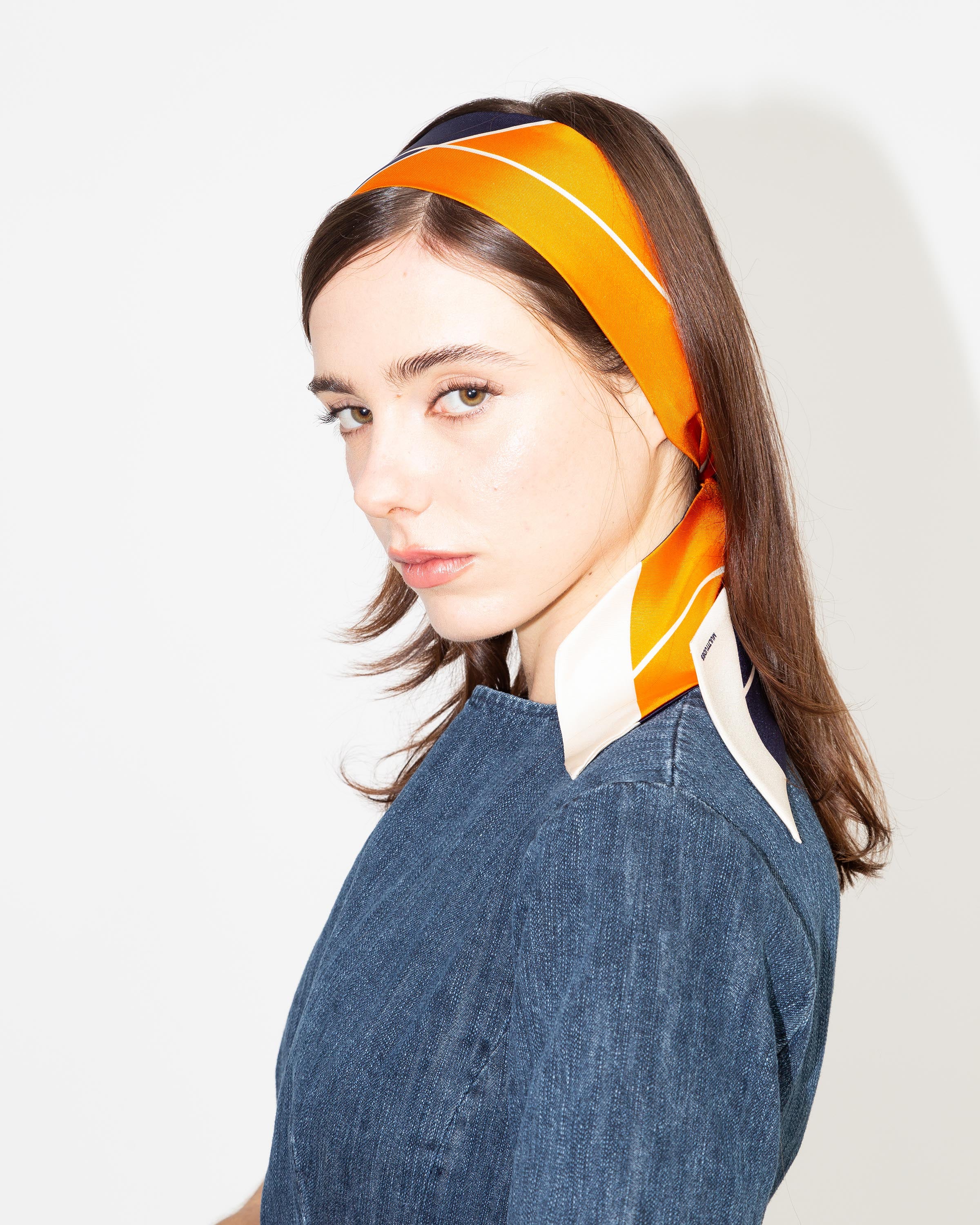 Nastro Iris Twilly in seta come accessorio per capelli 